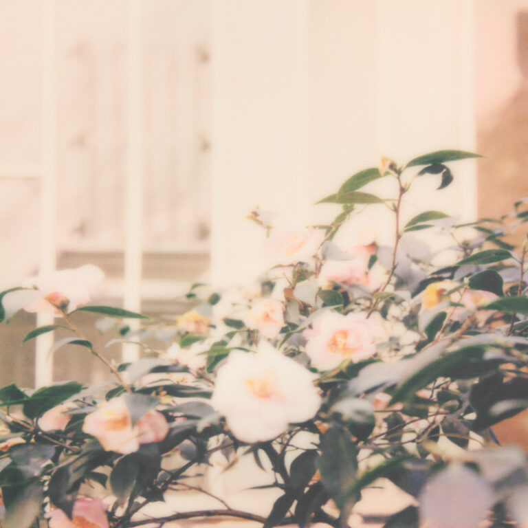 Entre Fleuves et Ruelles 03 - copyright - Anne Marie Louis - Artiste Photographe