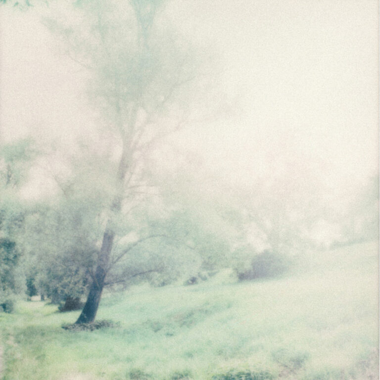 Entre Fleuves et Ruelles 29 - copyright - Anne Marie Louis - Artiste Photographe