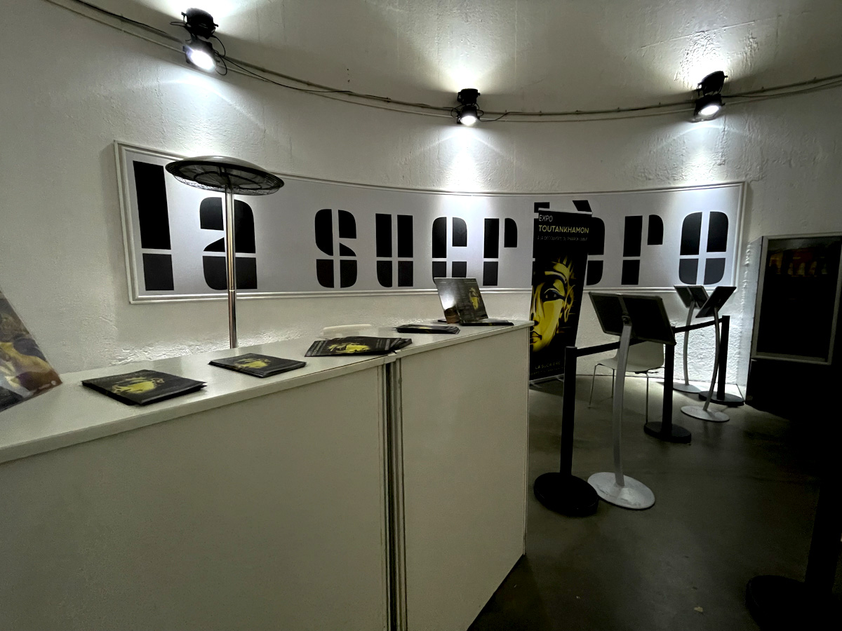 Salon iD.D'Art lyon 2023 Anne LOU ou Anne Marie LOUIS 3