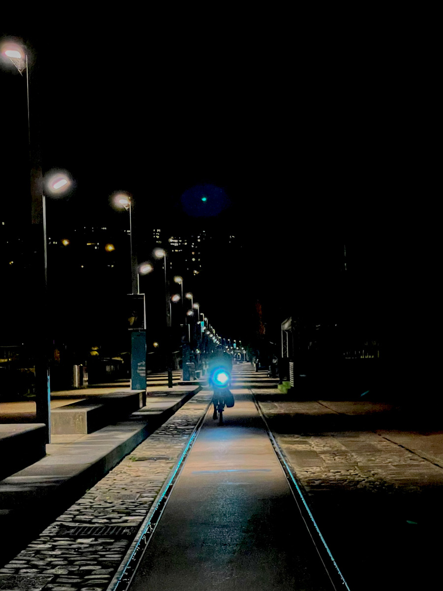 Salon iD.D'Art lyon 2023 Anne LOU ou Anne Marie LOUIS 4